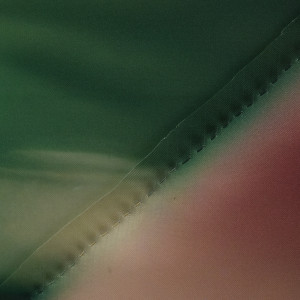 Detail of Indoor Swimming Pool (Midlake)