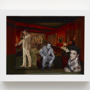 Color Pictures/Deep Photos (Andy/Walt/Elvis), 2022