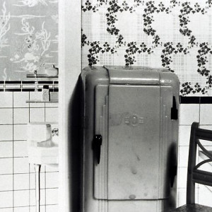 Refrigerator/ Wallpaper