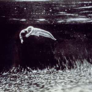 Woman Floating in Mid Pool