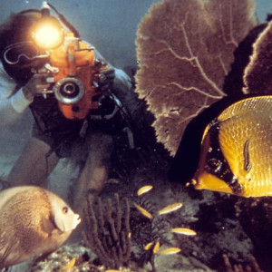 Underwater Photographer